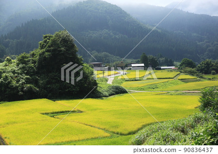 Sustainable agriculture (rural areas in the mountains) 90836437