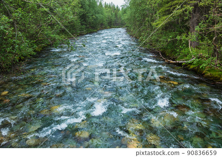 Rushing shallow river natural background Rushing shallow river natural background 90836659