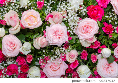 Backdrop of roses, Flowers wall background Backdrop of roses, Flowers wall background 90837032