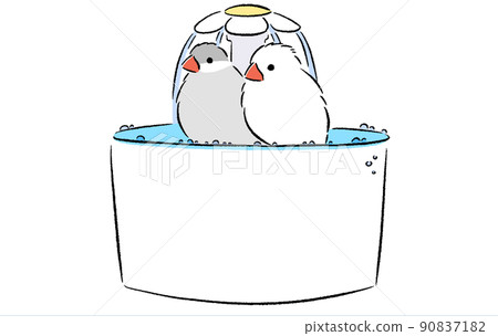 Java sparrow bathing in the flower fountain 90837182