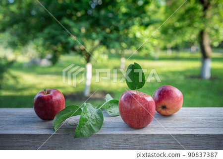 Three red apples with natural leaves at orchard garden Three red apples with natural leaves at orchard garden 90837387