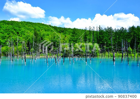 Blue Pond (Biei Town, Hokkaido) 90837400