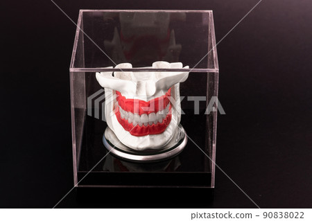 Human jaw with teeth implants anatomy model isolated on black background in a glass box. Human jaw with teeth implants anatomy model isolated on black background in a glass box. 90838022