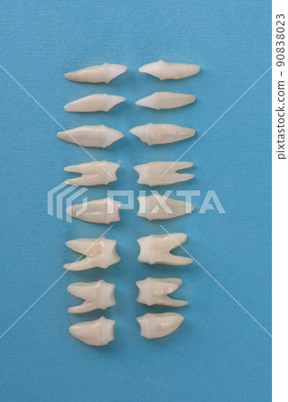 Prosthetic dentistry White teeth on black background Oral dental hygiene Dental health concept Oral care teeth restoration top view. Prosthetic dentistry White teeth on black background Oral dental hygiene Dental health concept Oral care teeth restoration top view. 90838023