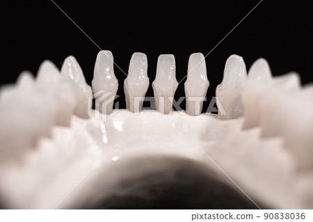 Lower human jaw with teeth anatomy model isolated on black background. Healthy teeth, dental care and orthodontic medical healthcare concept. 90838036