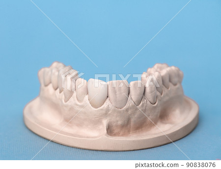 Gypsum model of human jaw with teeth on a blue background. 90838076