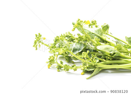 Asparagus greens and yellow vegetables, leafy vegetables, freshly harvested vegetables, healthy vegetables 90838120