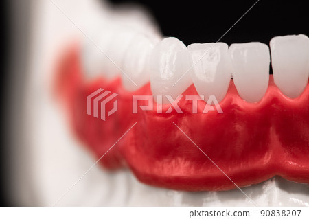 Lower human jaw with teeth and gums anatomy model isolated on blue background. Healthy teeth, dental care and orthodontic medical healthcare concept.  90838207