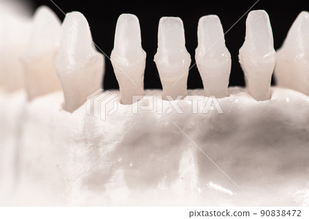Lower human jaw with teeth anatomy model isolated on black background. Healthy teeth, dental care and orthodontic medical healthcare concept. 90838472