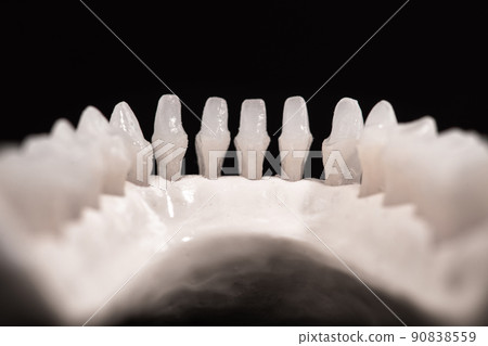 Lower human jaw with teeth anatomy model isolated on black background. Healthy teeth, dental care and orthodontic medical healthcare concept. 90838559