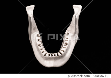 Upper human jaw without teeth model medical implant isolated on black background. Healthy teeth, dental care and orthodontic concept. 90838710
