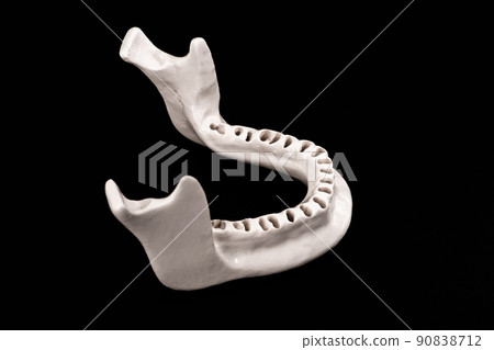 Upper human jaw without teeth model medical implant isolated on black background. Healthy teeth, dental care and orthodontic concept. 90838712