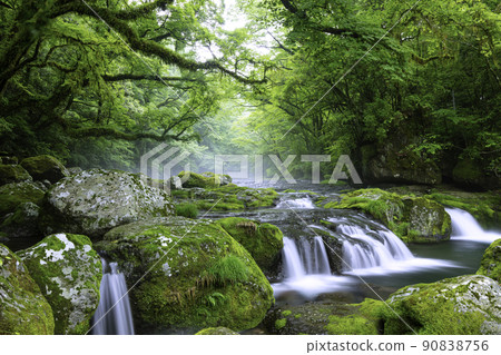 初夏綠意盎然的菊池峽谷(熊本縣菊池市) 初夏綠意盎然的菊池峽谷(熊本縣菊池市) 90838756