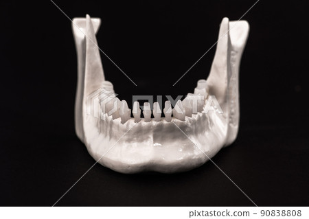 Lower human jaw with teeth anatomy model isolated on black background. Healthy teeth, dental care and orthodontic medical healthcare concept. 90838808