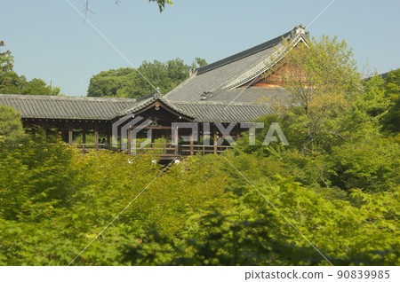 Tofukuji Temple bridge 90839985