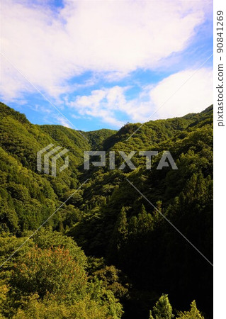 藤洞洞窟 石灰岩洞窟 野鳥觀察地點 川和自然公園 縣立天然紀念物 藤洞洞窟 石灰岩洞窟 野鳥觀察地點 川和自然公園 縣立天然紀念物 90841269