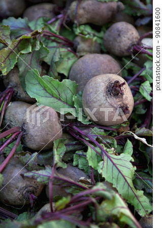 Rustic market stall Rustic market stall 90841600