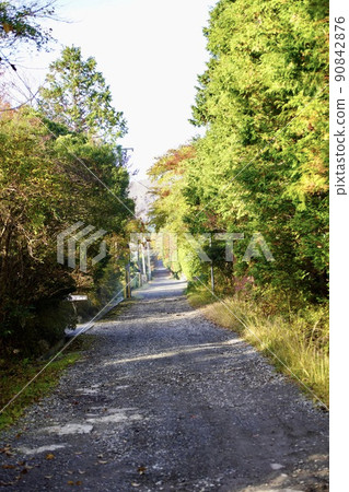 碎石路 碎石路 90842876