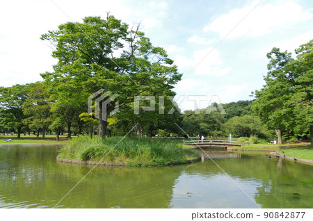 代代木公園水邊 代代木公園水邊 90842877