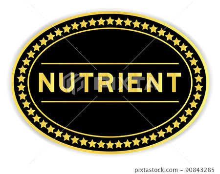 Black and gold color oval label sticker with word nutrient on white background 90843285