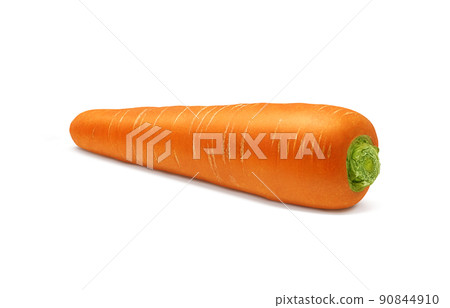 胡蘿蔔胡蘿蔔插畫真正的單一物質 胡蘿蔔胡蘿蔔插畫真正的單一物質 90844910