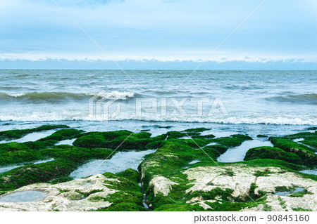 seascape, coast of the Caspian Sea with algae-covered coastal stones seascape, coast of the Caspian Sea with algae-covered coastal stones 90845160