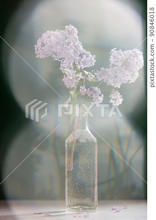 bunch lilac in little bottle vase on the table, pink background. Gentle moire 90846018