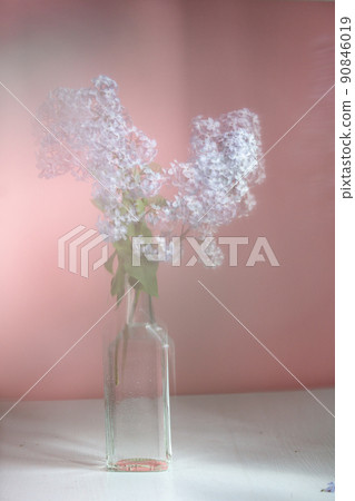 bunch lilac in little bottle vase on the table, pink background. Gentle moire bunch lilac in little bottle vase on the table, pink background. Gentle moire 90846019
