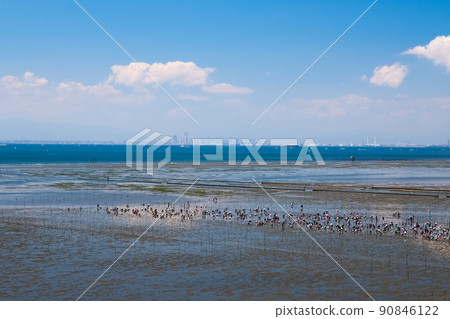 Kisarazu Coast, Chiba Prefecture Kisarazu Coast Shiohiwari hunting ground crowded with GW Kisarazu Coast, Chiba Prefecture Kisarazu Coast Shiohiwari hunting ground crowded with GW 90846122