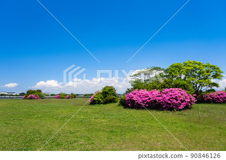 Nakanoshima Park, Kisarazu City, Chiba Prefecture Nakanoshima Park, Kisarazu City, Chiba Prefecture 90846126