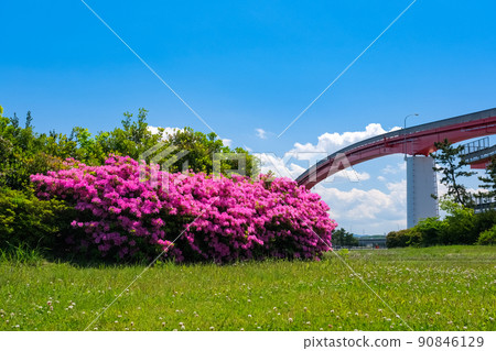 千葉縣木更津市中之島公園和中之島大橋 千葉縣木更津市中之島公園和中之島大橋 90846129