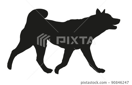 Black dog silhouette. Running american akita puppy Black dog silhouette. Running american akita puppy 90846247