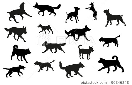 Dogs various breed. Running, standing, walking dog 90846248