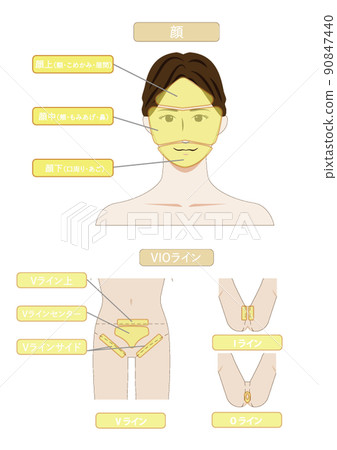 白色背景矢量數據的圖像說明表明年輕亞洲人脫毛美學的整個身體 90847440