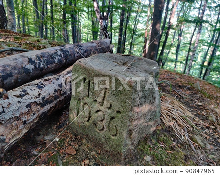 stone in the woods with the inscription 1936 90847965