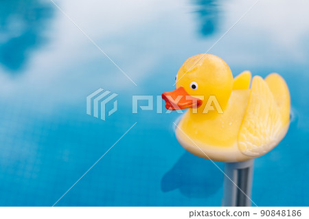 Close-up of a yellow rubber duck toy in the water. pool water texture. Pool background with floating rubber duck. to use text. Close-up of a yellow rubber duck toy in the water. pool water texture. Pool background with floating rubber duck. to use text. 90848186