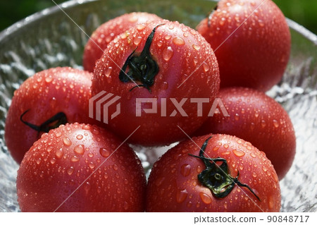 Ripe tomato 90848717