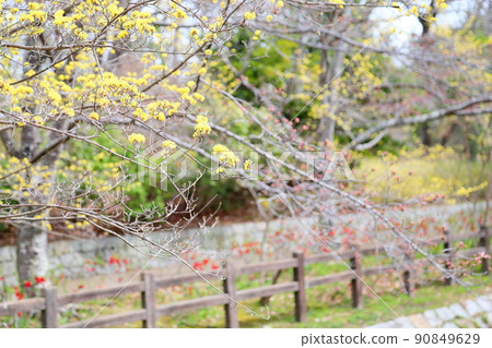 Flower of Sanshui 90849629