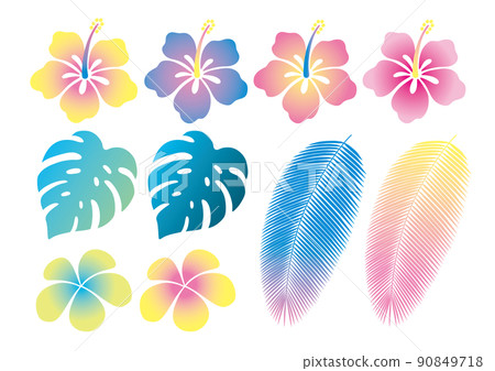 霓虹色芙蓉等熱帶部分 90849718