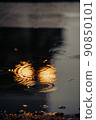 Puddle reflection 90850101