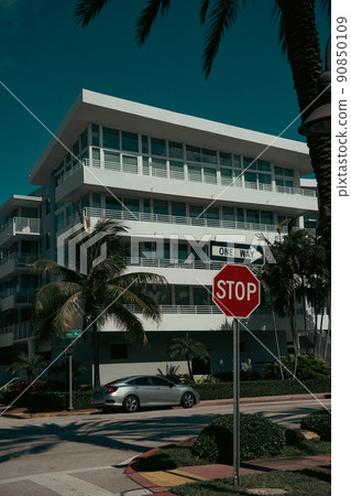 Miami tropical 90850109