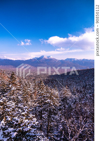 北海道山樹 北海道山樹 90850112