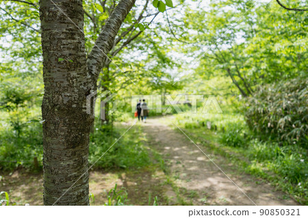 初夏探索森林胡同的兩人 初夏探索森林胡同的兩人 90850321