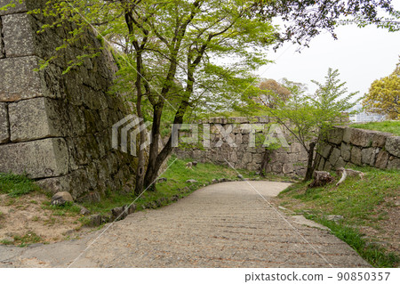 Marugame City, Kagawa Prefecture: Slope and high stone wall from the castle tower of Marugame Castle in spring 90850357