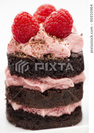 Chocolate Raspberry Gateaux 90850964