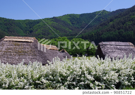 鮮花盛開的平安時代村落 90851722