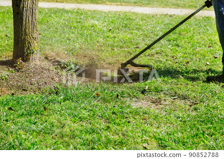 The process of cutting the lawn with cordless grass trimmer edger The process of cutting the lawn with cordless grass trimmer edger 90852788