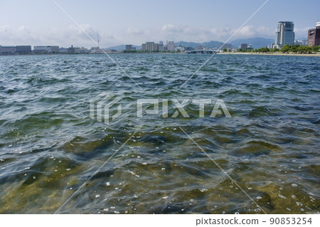 SDGs 中海宍道湖 地質公園指定的宍道湖美麗的海岸 SDGs 中海宍道湖 地質公園指定的宍道湖美麗的海岸 90853254