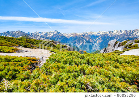 初夏爬椿山(從山脊看大天照山、矢里山、笠嶽山、雙六山、鷲羽山) 初夏爬椿山(從山脊看大天照山、矢里山、笠嶽山、雙六山、鷲羽山) 90853296