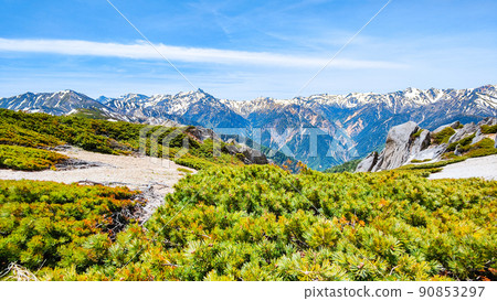 初夏爬椿山(從山脊看大天照山、矢里山、笠嶽山、雙六山、鷲羽山) 初夏爬椿山(從山脊看大天照山、矢里山、笠嶽山、雙六山、鷲羽山) 90853297